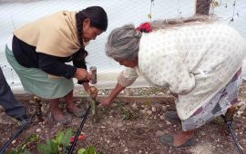 Mujeres del MTC-Movimiento de Trabajadoras Campesijnas de Guatemala. Foto Raquel Carballo/Manos Unidas